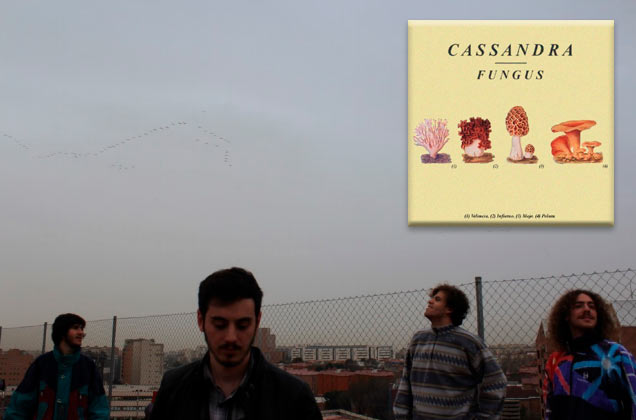 Cassandra es una banda de Madrid que nace en la primavera de 2014. Tras varios músicos que pasan por la banda, la formación se solidifica con Jorge Pé...