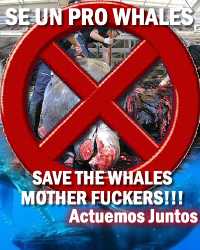 El humano se siente superior a los animales, hay veces que los matamos sin motivos ni razón, por ejemplo creo que poca gente sabe el trabajo que le cu...