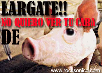 Hola mis estimados lectores, ahora ya me he portado bien y no me agarrado el alcoholímetro por lo tanto no me han metido al Torito, según esto si te a...