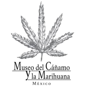 Llega a Mxico el Museo del Camo y la Marihuana