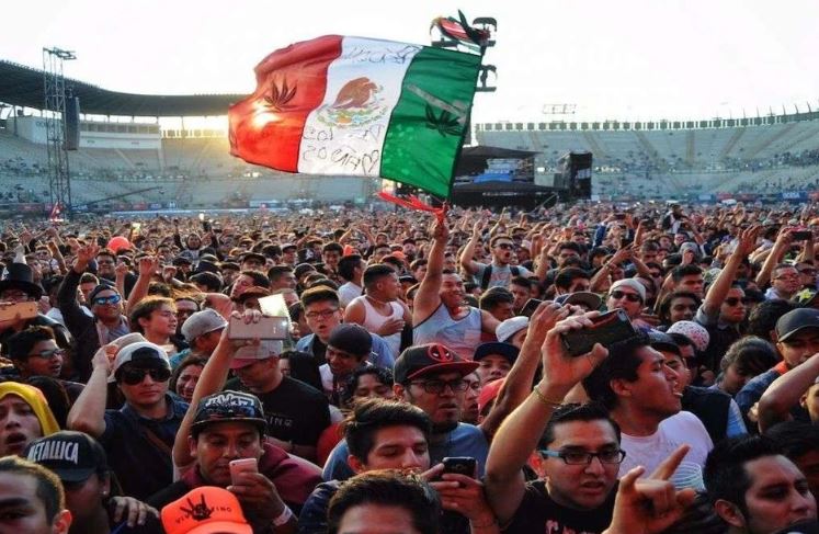 Los melómanos amarán esta selección de libros que todos deben leer antes de invadir el Foro Sol.

Han pasado 20 años y el <b>Vive Latino</b> se mant...