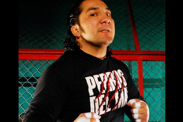 PERRO AGUAYO JR ha sido dado de alta.