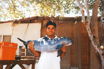 Vaquita Marina en Peligro de Extinción