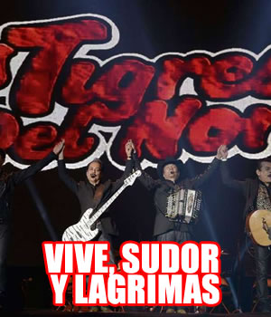 VIVE, SUDOR Y LAGRIMASReseña Vive Latino XV años, 
