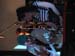 lostacapulco_staggers (54)